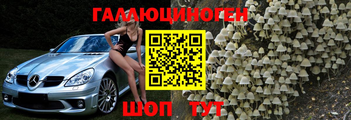 Псилоцибиновые грибы мицелий Кыштым